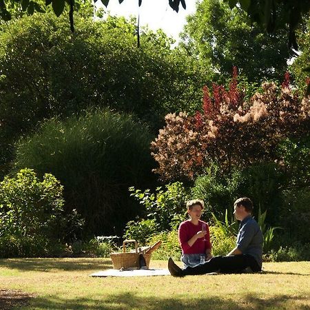 Alexandra Farmstay Bagian luar foto