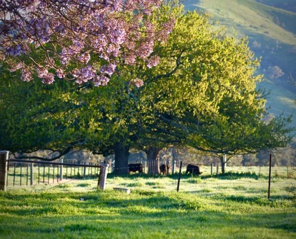 Alexandra Farmstay Bagian luar foto